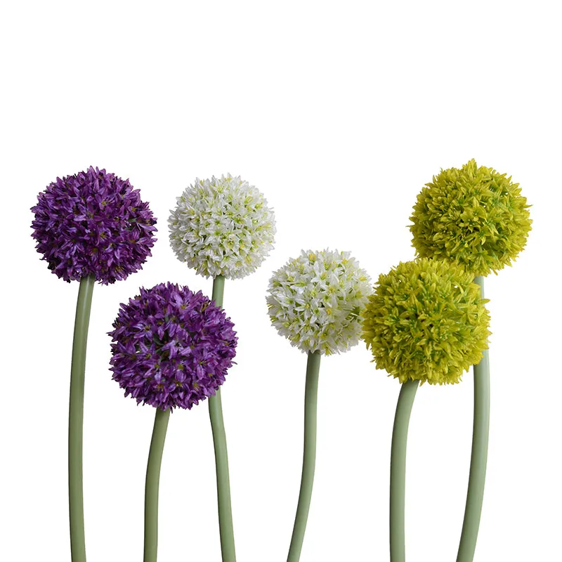 Allium in Glass Vase 27"H
