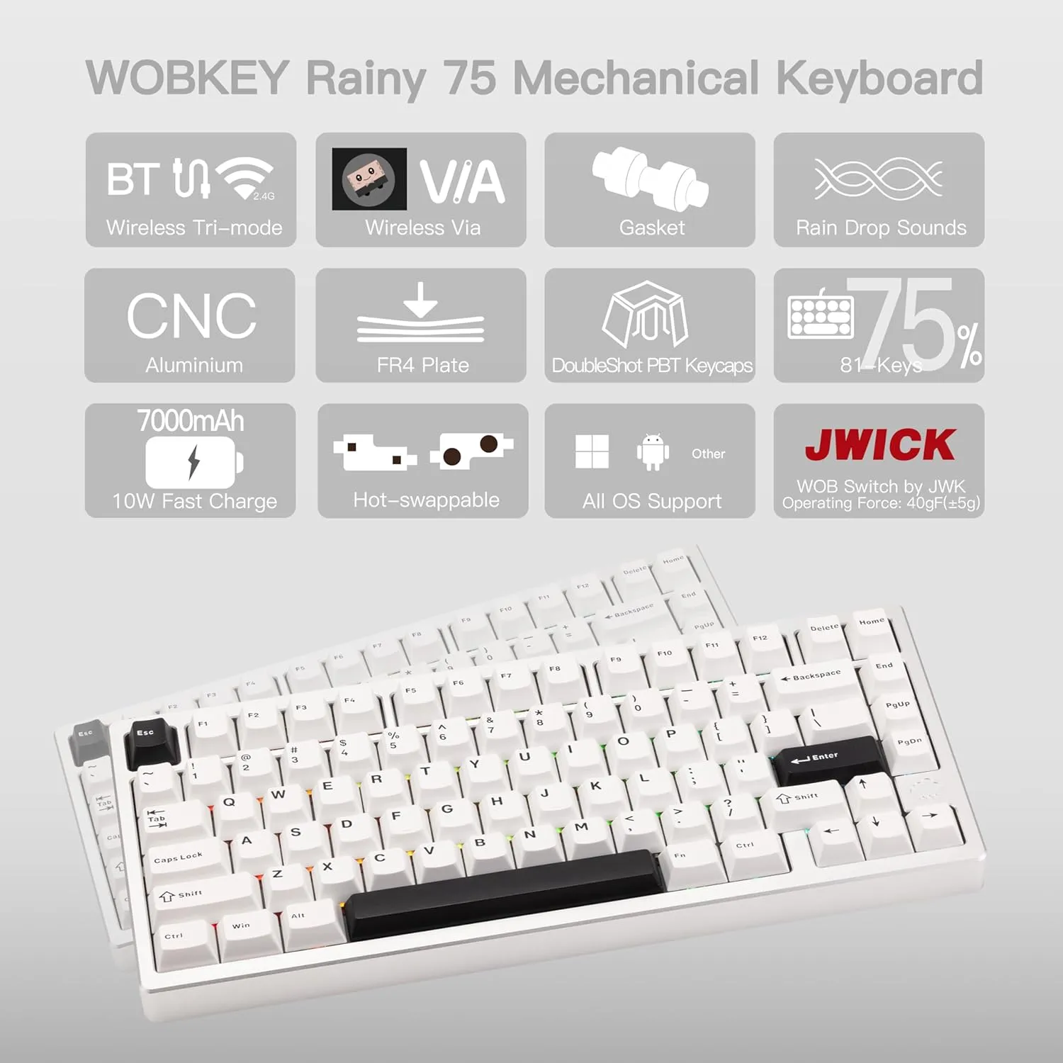 WOBKEY Rainy 75 Aluminum HMX/JWK Switches Mechanical Keyboard with Superior Acoustics, Wired, BT, 2.4G Wireless Connectivity (Pro - Silver(WOB Switch))